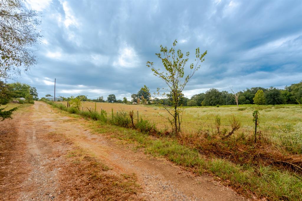 1262 Fm 1647 Property Photo 5