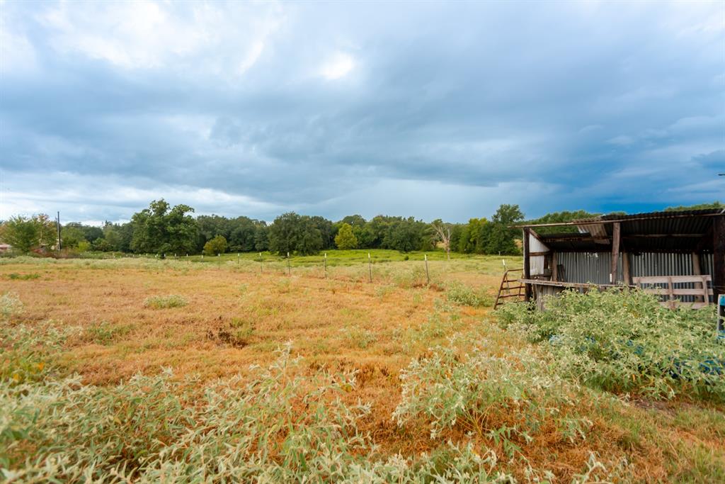 1262 Fm 1647 Property Photo 9