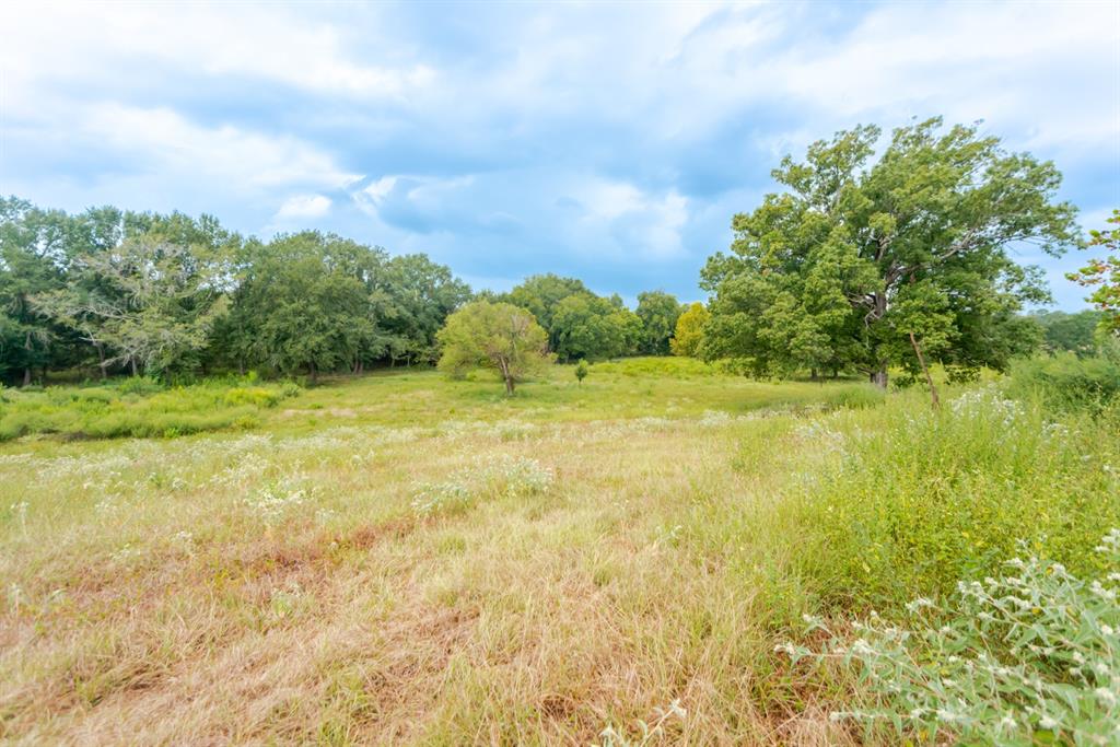1262 Fm 1647 Property Photo 13