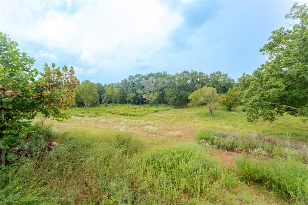 1262 Fm 1647 Property Photo 17
