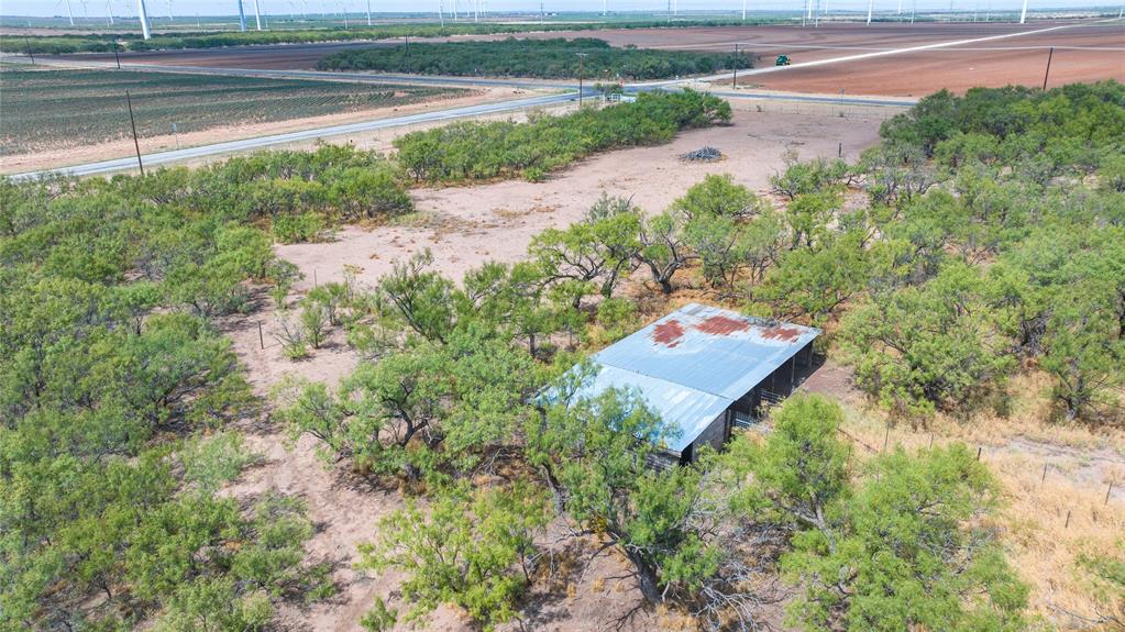 11599 E Fm 1606 Property Photo 37