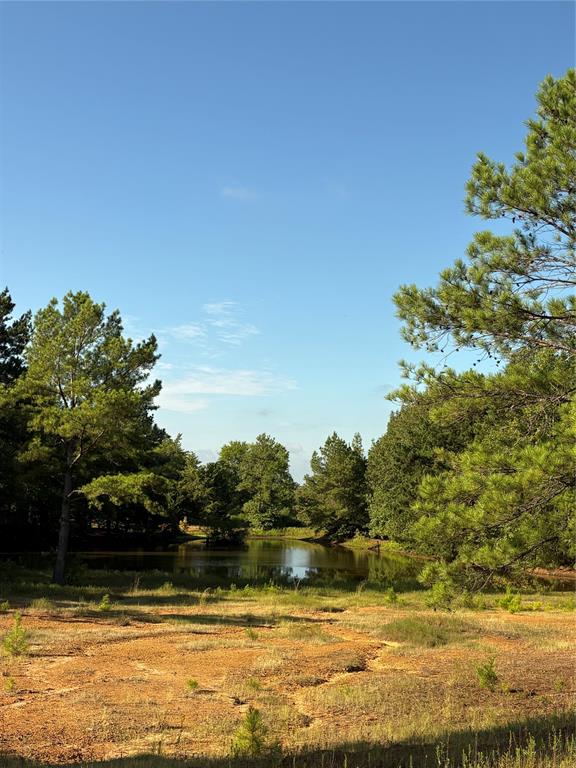 8965 N Us Hwy 59 Property Photo 1