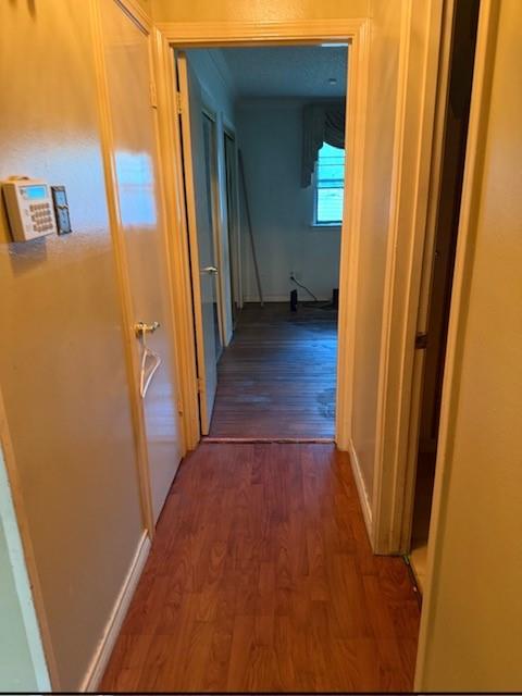 1907 Canelo Drive Property Photo 4
