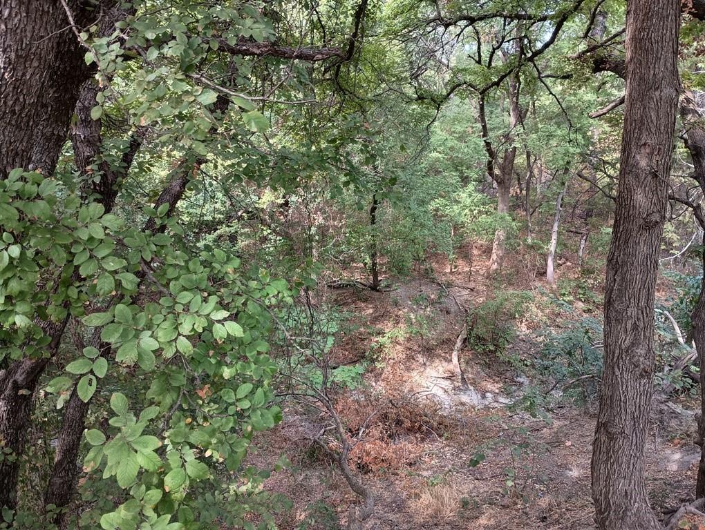 3605 Quail View Drive Property Photo 25