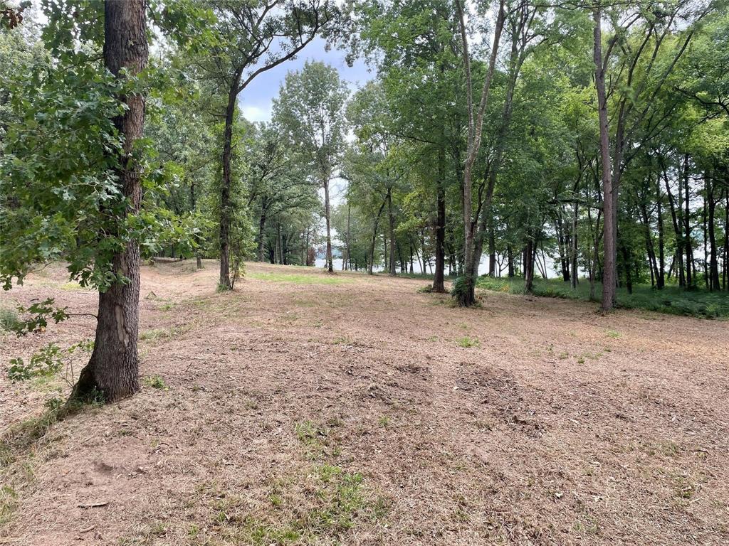 101 Sterling Shores Drive Property Photo 6