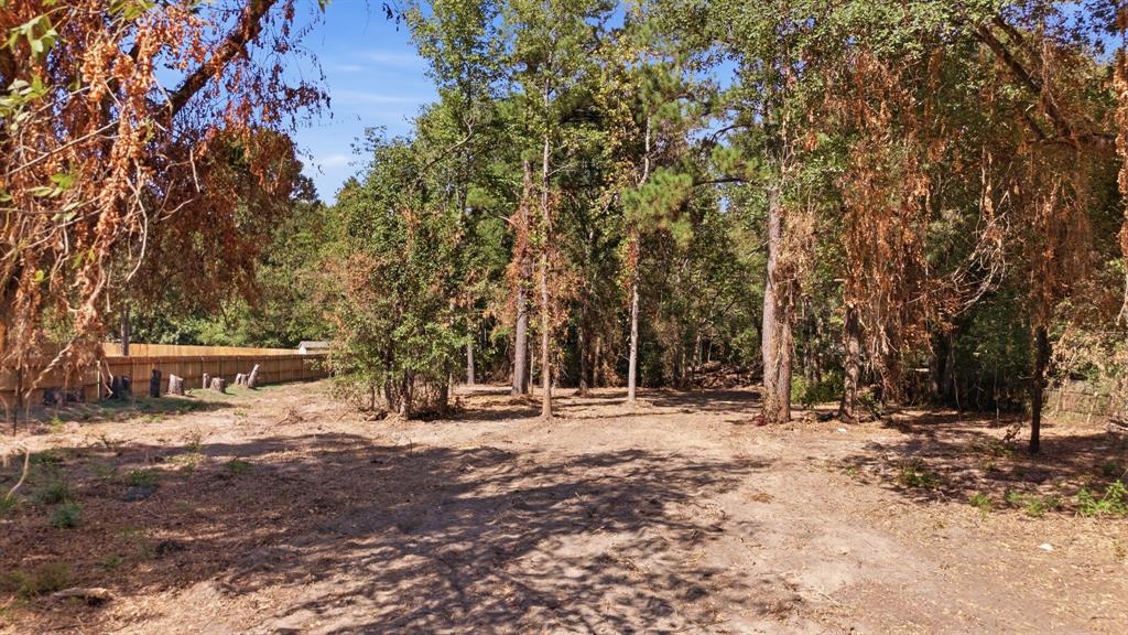 Tbd Cr 474 Property Photo 2