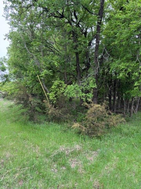 17082 Faircrest Drive Property Photo 3