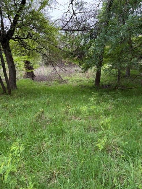17082 Faircrest Drive Property Photo 8