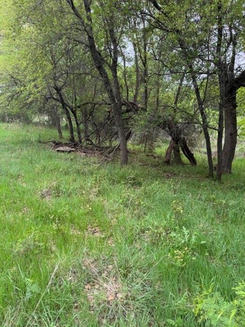 17082 Faircrest Drive Property Photo 9