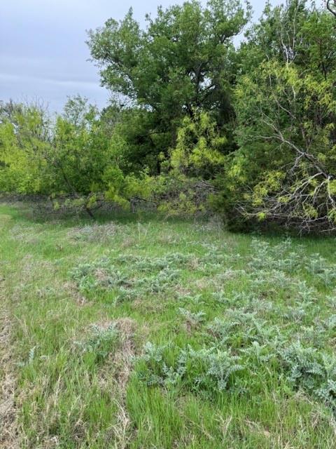 17082 Faircrest Drive Property Photo 15