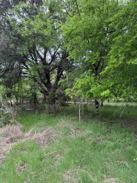 17082 Faircrest Drive Property Photo 31