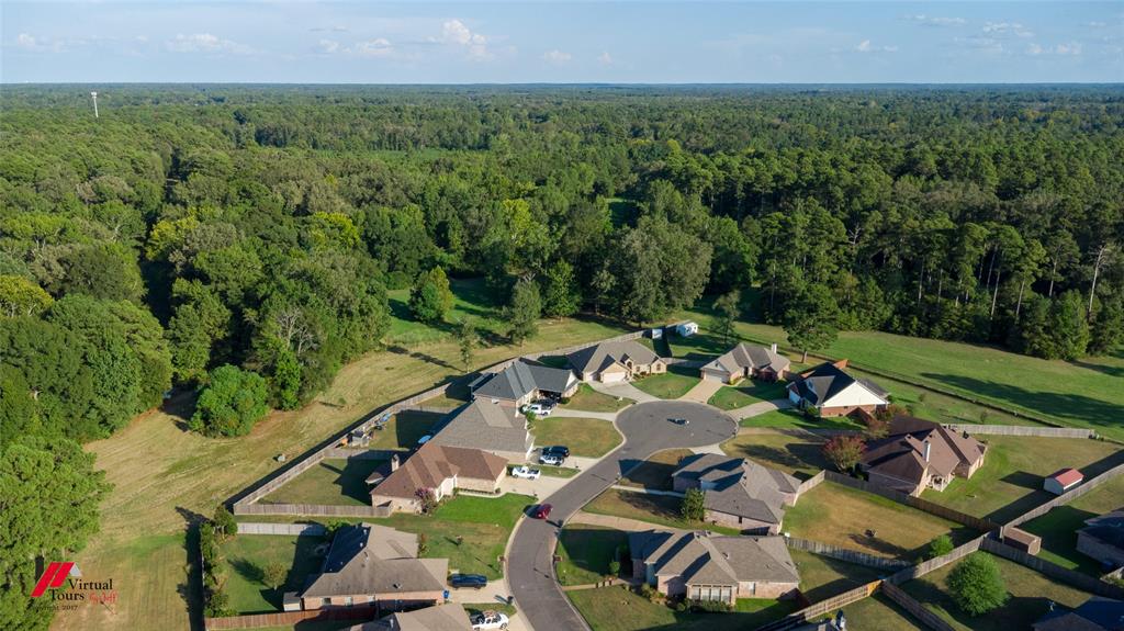 2010 Briar Hollow Hollow Property Photo 34