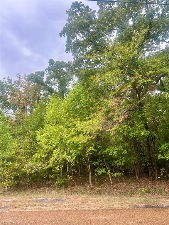 0 Alamo Road Property Photo 1