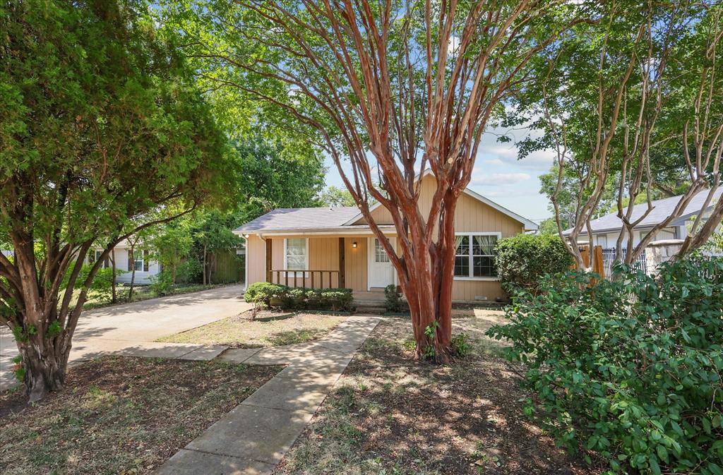 7243 Ash Street Property Photo 1
