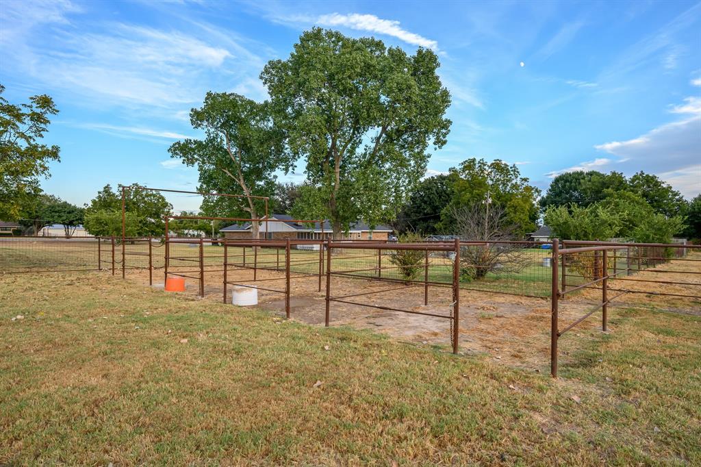 1270 County Road 437 Property Photo 8