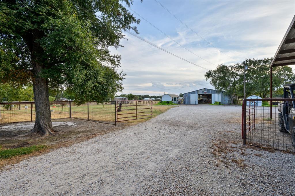 1270 County Road 437 Property Photo 10