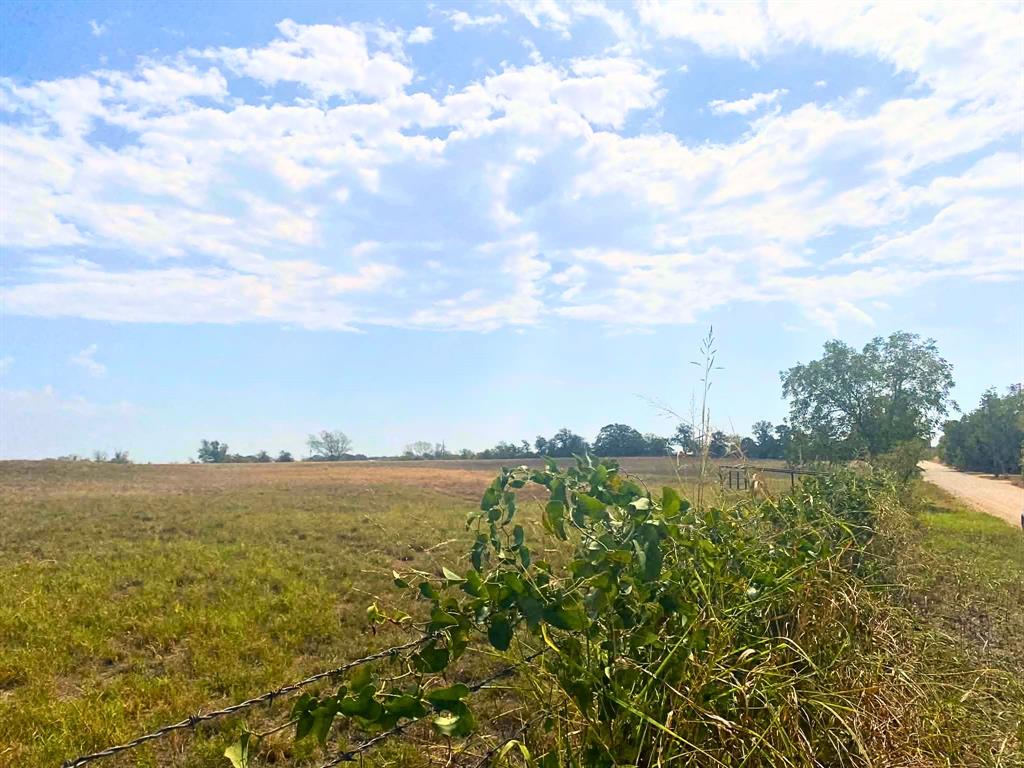 608 County Road 373 Property Photo 16