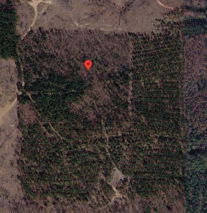 Tract 3 County Road 3769 Property Photo 1
