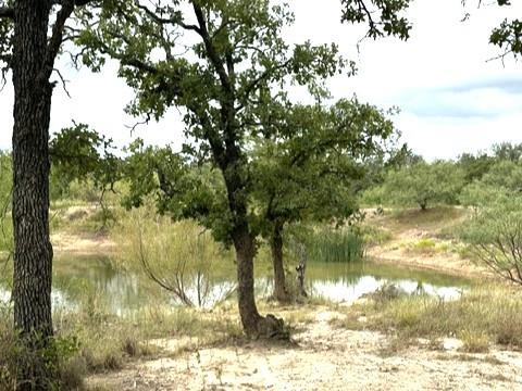16271 Fm 880 Property Photo 10