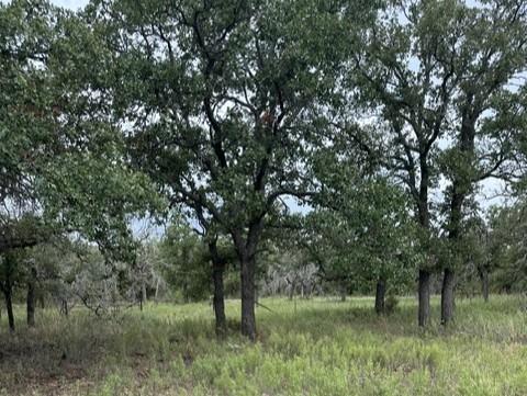 16271 Fm 880 Property Photo 17