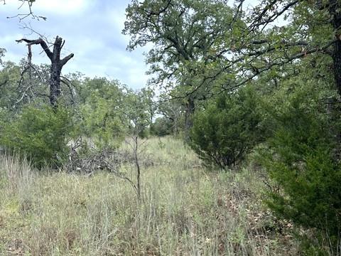 16271 Fm 880 Property Photo 18