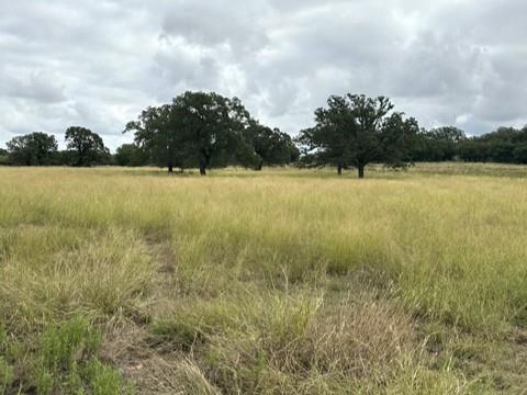 16271 Fm 880 Property Photo 19