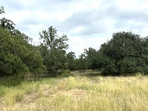 16271 Fm 880 Property Photo 20