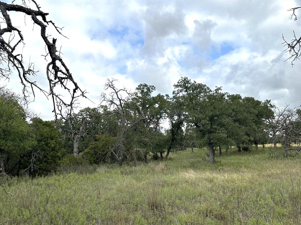 16271 Fm 880 Property Photo 26