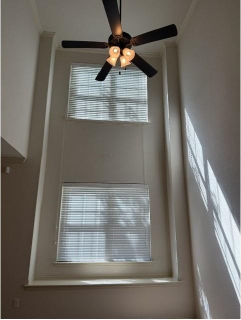 6828 Pascal Way Property Photo 6