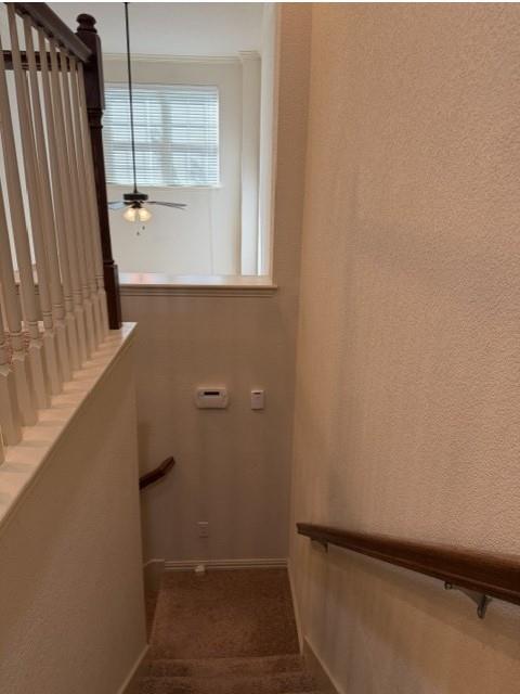 6828 Pascal Way Property Photo 16