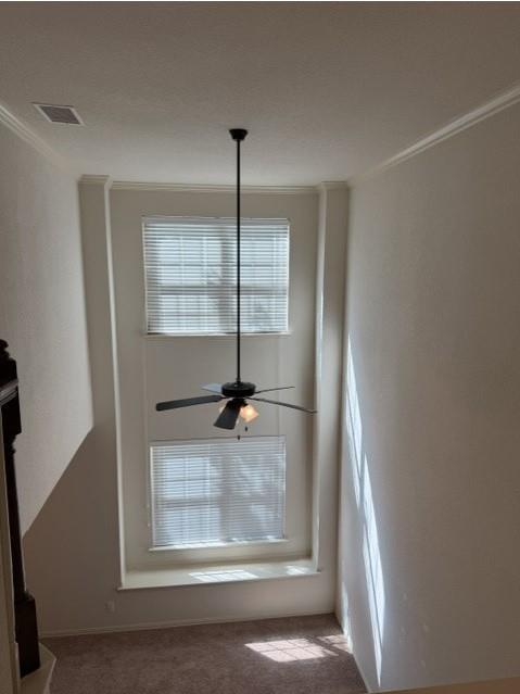 6828 Pascal Way Property Photo 17