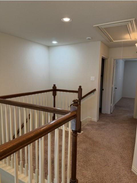 6828 Pascal Way Property Photo 18