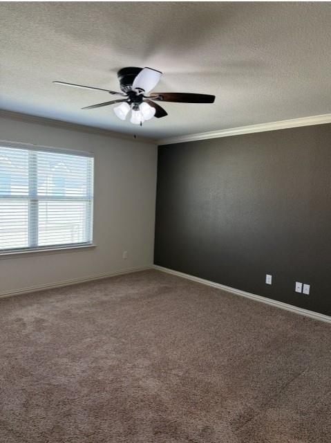 6828 Pascal Way Property Photo 19
