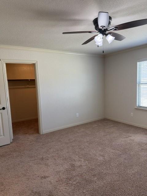 6828 Pascal Way Property Photo 20