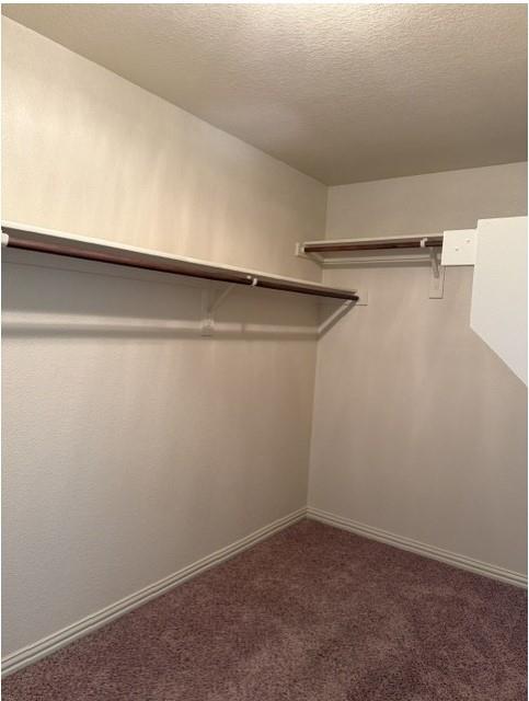 6828 Pascal Way Property Photo 21