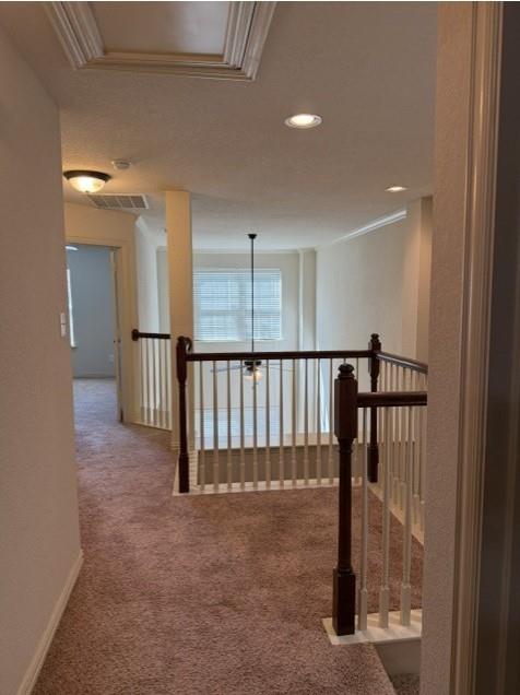 6828 Pascal Way Property Photo 25