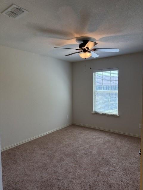 6828 Pascal Way Property Photo 29