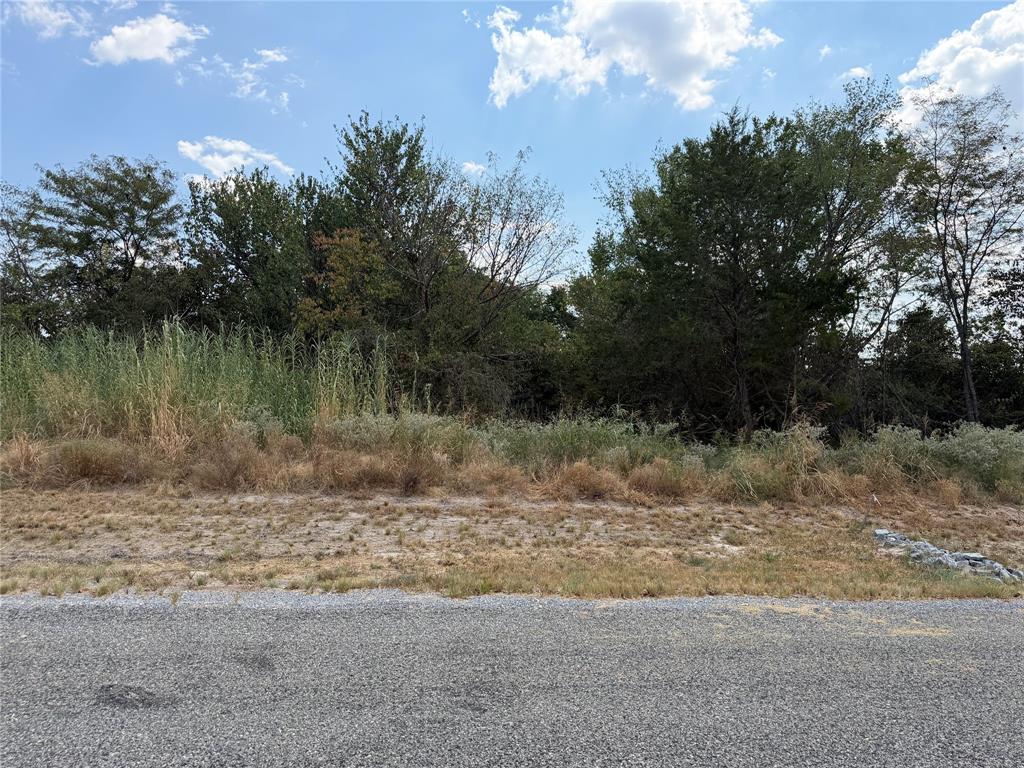 Lot 6 Co Rd 1110 Property Photo 13