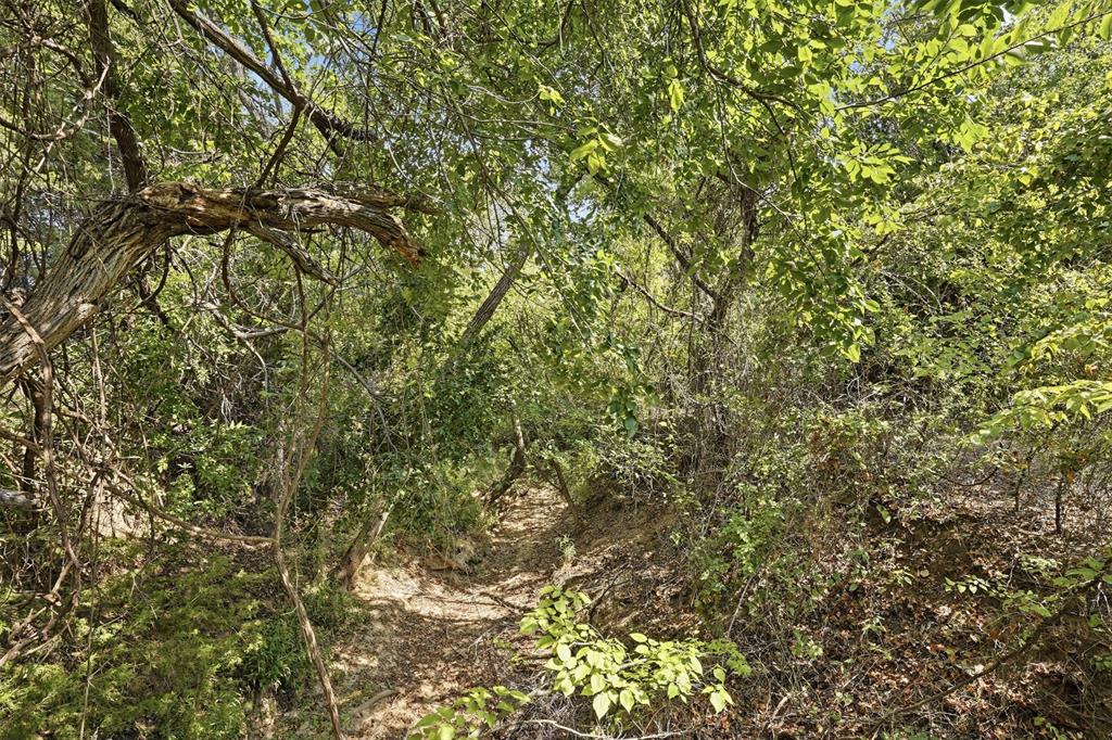 3703 Holbrook Road Property Photo 8