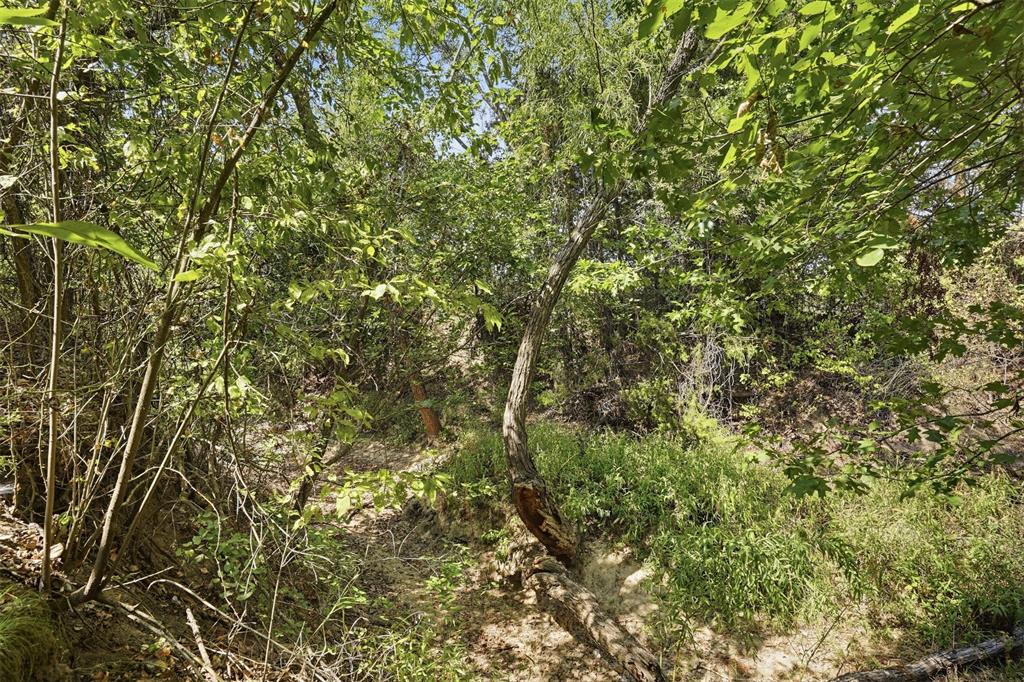 3703 Holbrook Road Property Photo 9