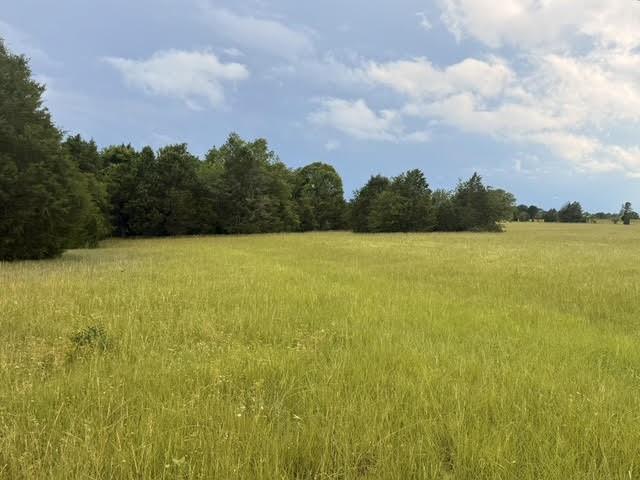 Tbd A Cr 2500 Property Photo 3