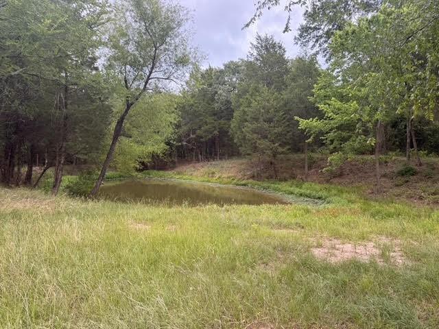 Tbd A Cr 2500 Property Photo 4
