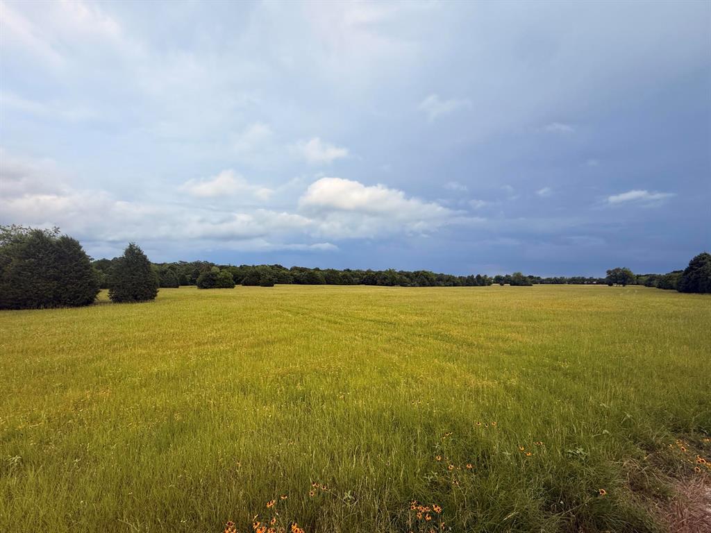 Tbd A Cr 2500 Property Photo 5