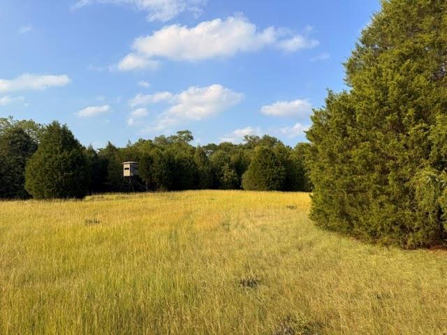 Tbd A Cr 2500 Property Photo 6