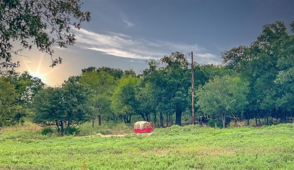 3211 Fm 678 Property Photo 12