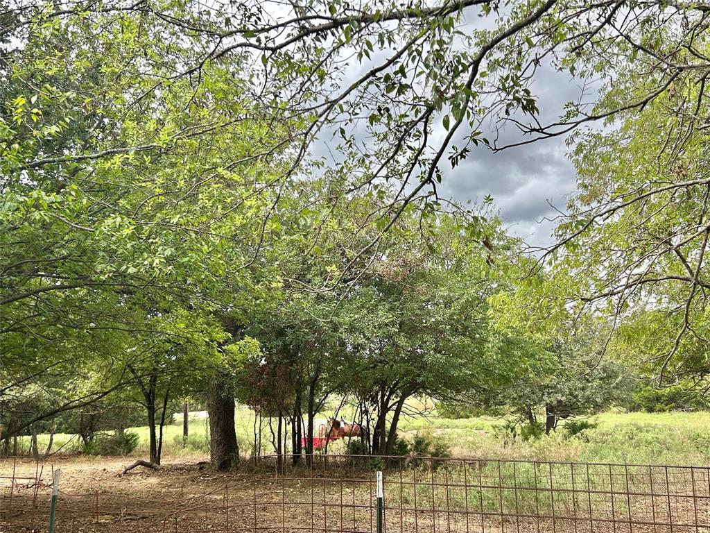 3211 Fm 678 Property Photo 13