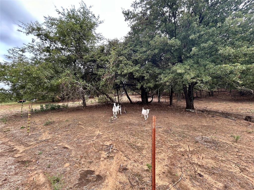 3211 Fm 678 Property Photo 14