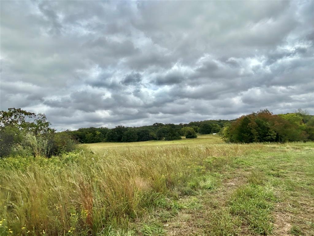 3211 Fm 678 Property Photo 17