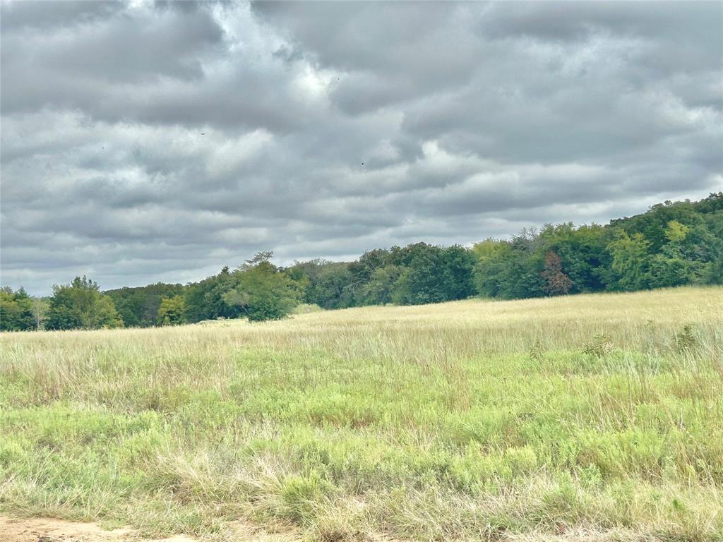 3211 Fm 678 Property Photo 19