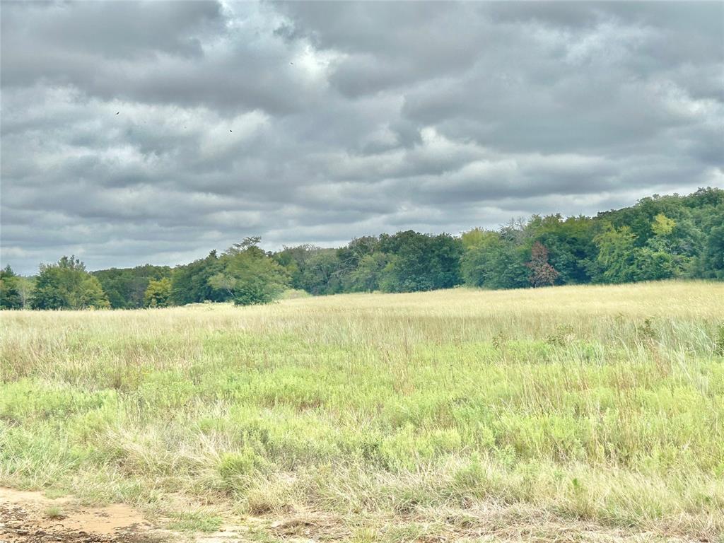 3211 Fm 678 Property Photo 20